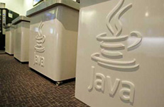 蓝鸥广州的Java培训课程突出特色体现在哪里?